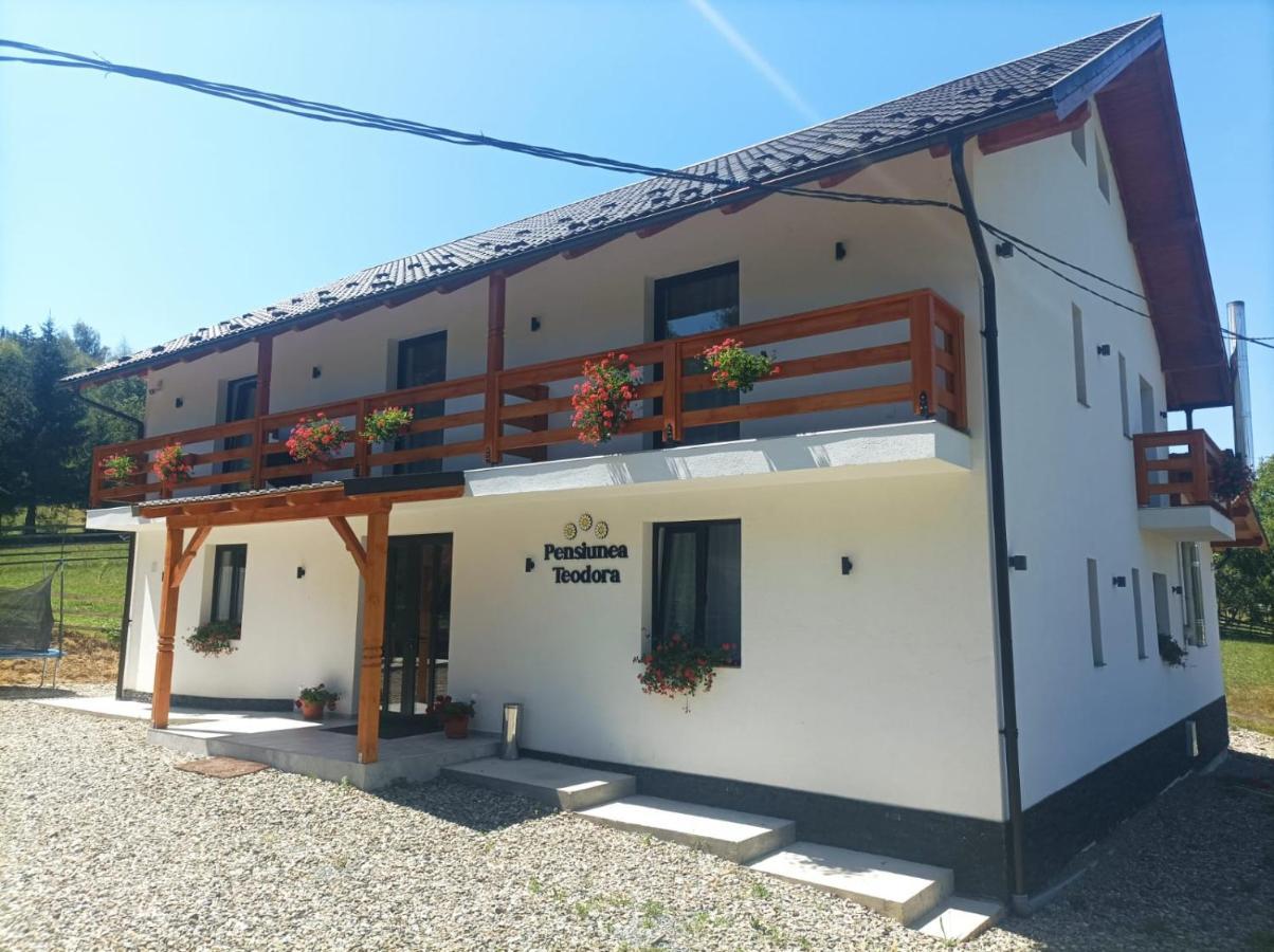 Pensiunea Teodora Moisei Exterior foto