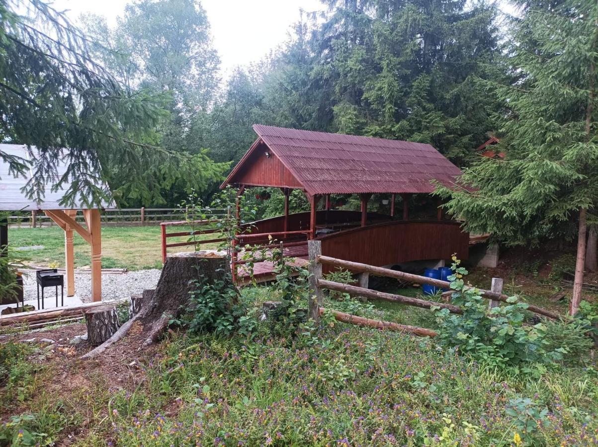 Pensiunea Teodora Moisei Exterior foto